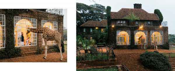 Медовый месяц в отеле Giraffe Manor