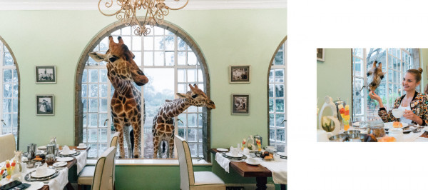 Медовый месяц в отеле Giraffe Manor