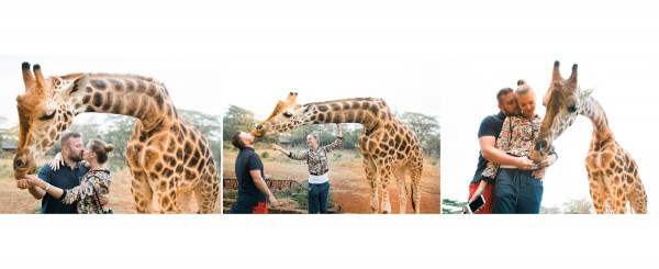 Медовый месяц в отеле Giraffe Manor