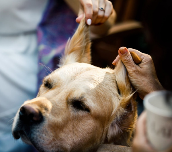 Cамая уютная предсвадебная съемка