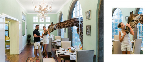 Медовый месяц в отеле Giraffe Manor
