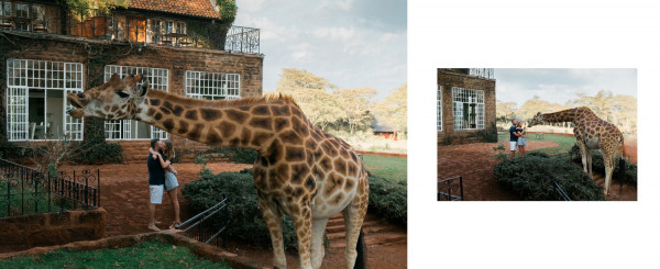 Медовый месяц в отеле Giraffe Manor