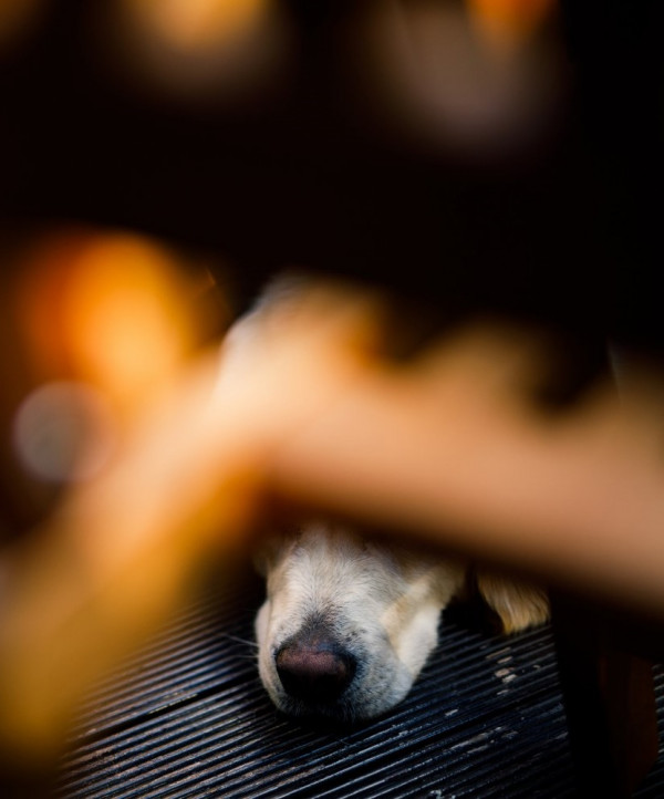 Cамая уютная предсвадебная съемка