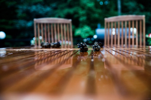 Cамая уютная предсвадебная съемка