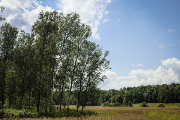 Куда сбежать из Москвы на выходные