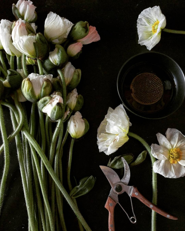 Хотите современный букет невесты? Добавьте полевых цветов