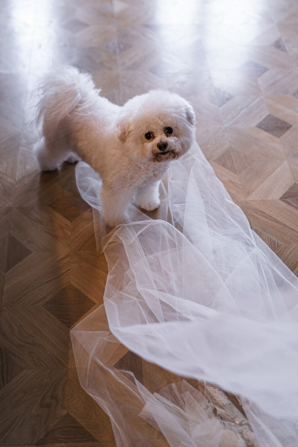 Нежная классическая свадьба в особняке Смирнова