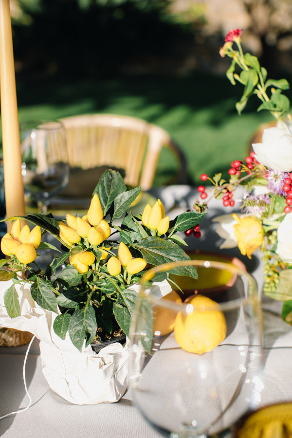 Свадебный ужин под сенью виноградных листьев