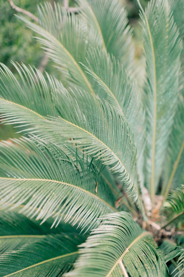 Свадьба на итальянской вилле с видом на