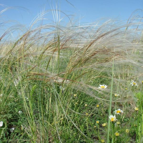 Куда сбежать из Москвы на выходные