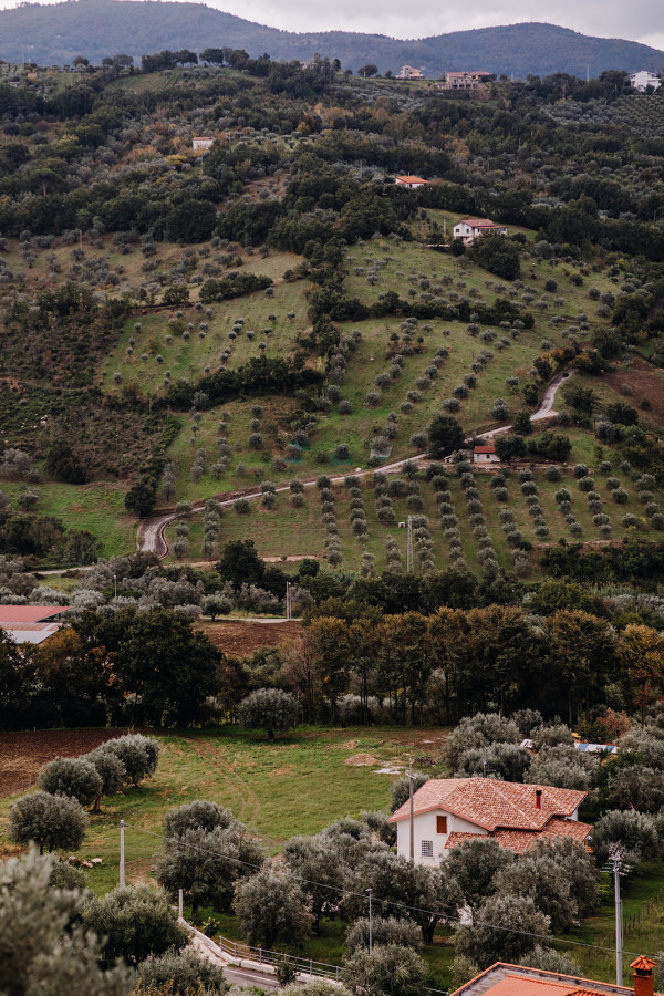 Свадебный ужин под сенью виноградных листьев