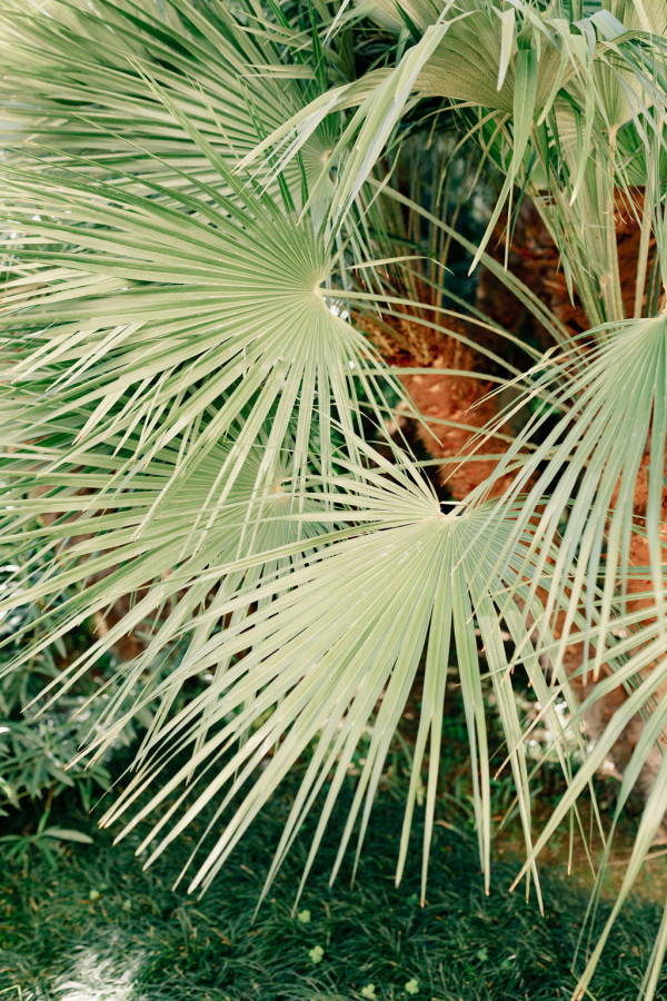 Свадьба на итальянской вилле с видом на