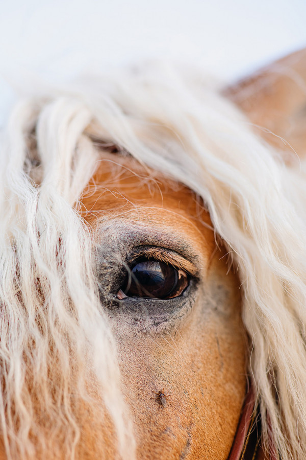 Невеста в свадебном платье своей мамы —