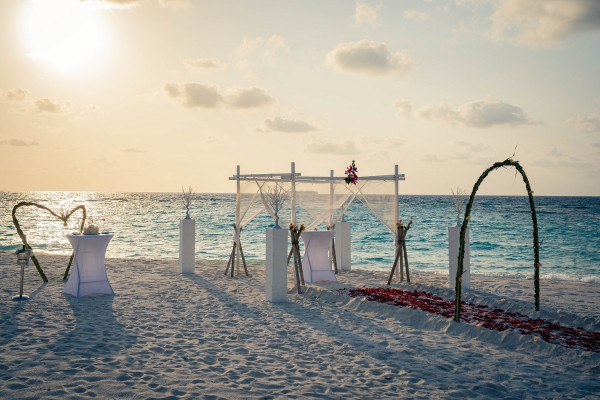 Все о свадебной церемонии и медовом месяце