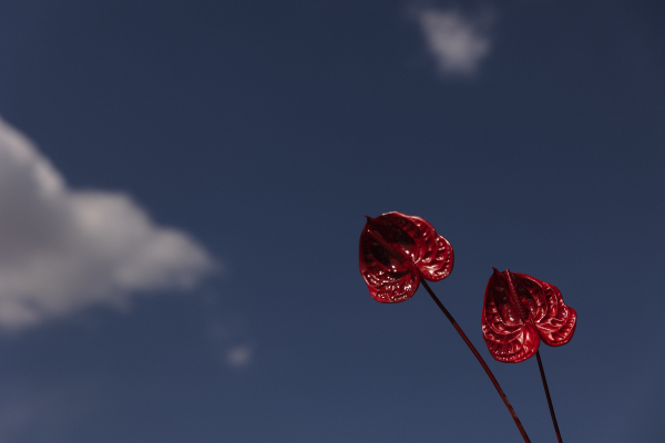 Свадьба с панорамным видом на Москву в