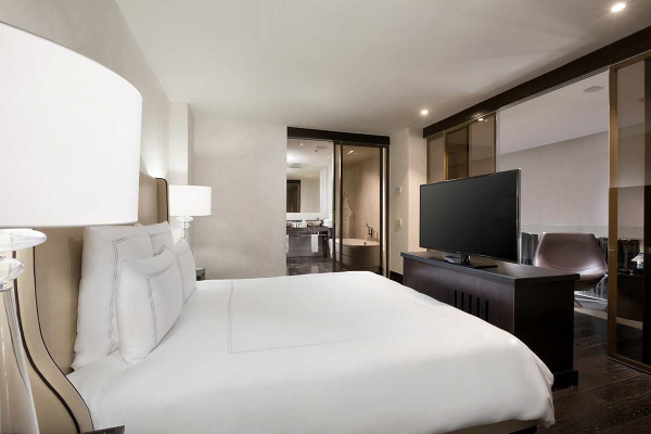 Площадки Swissôtel Resort Сочи Камелия