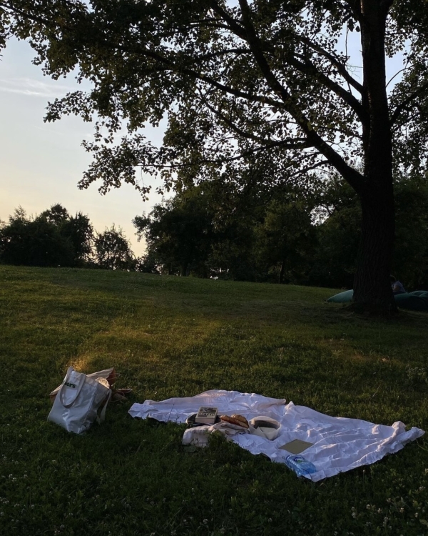 Где устроить пикник в Москве?