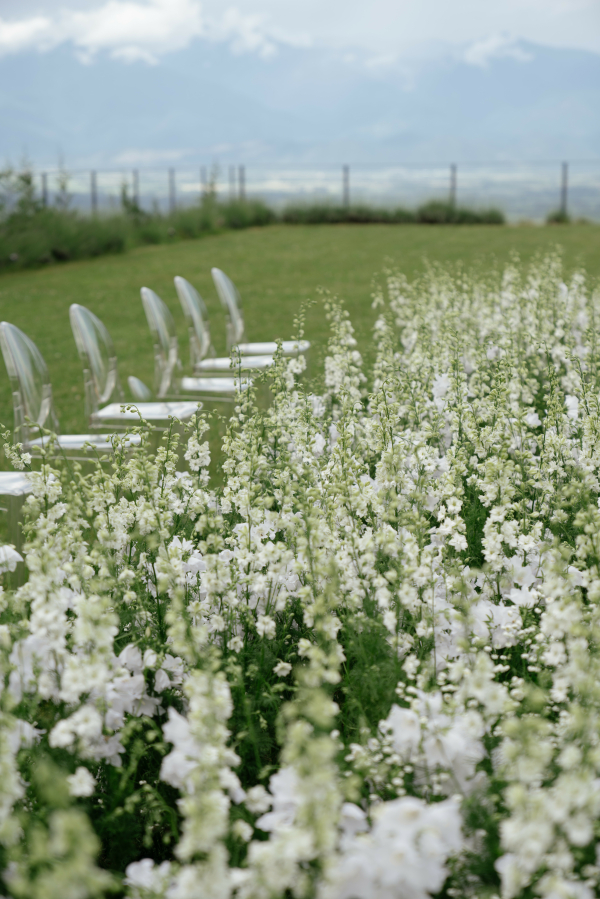 Агентства GREY CHIC Wedding