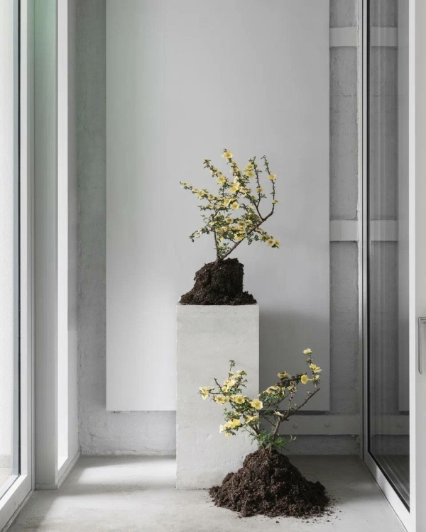 Любимые флористы светской Москвы