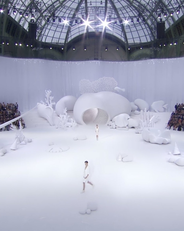 Бесконечная красная дорожка, дивный сад и подводное