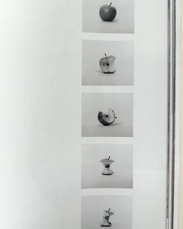 Не вывозить не стыдно. Как правильно просить