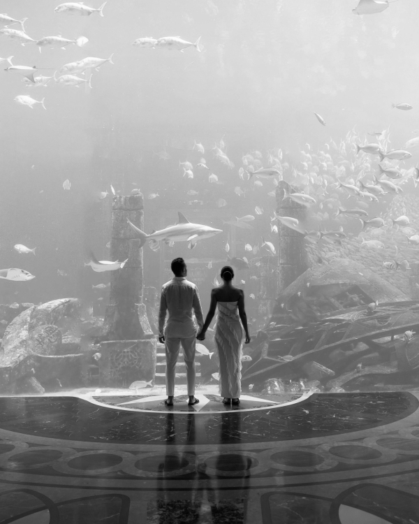 Где, если не в Дубае? Рассказываем о