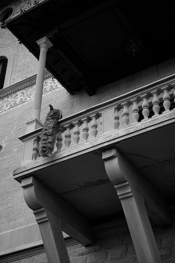 Итальянское кино: свадебный ужин на вилле в