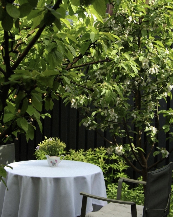 Яблоневый сад, оранжерея и таверна. 10 петербургских