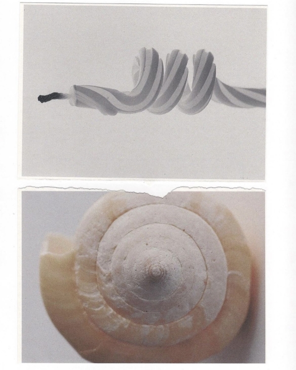 Замедляться тоже нужно. 7 идей, чтобы перезагрузиться