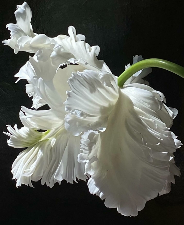 Нам такого не надо. Что делать, если