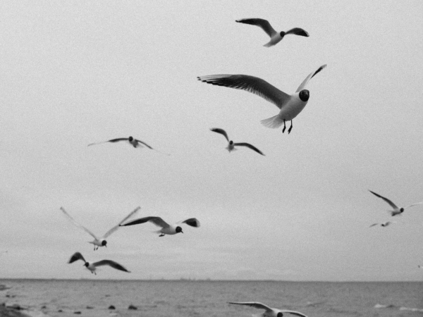 Интервью с невестой: о любви, как в