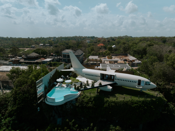 Церемония на крыле самолета, свадебный ужин у