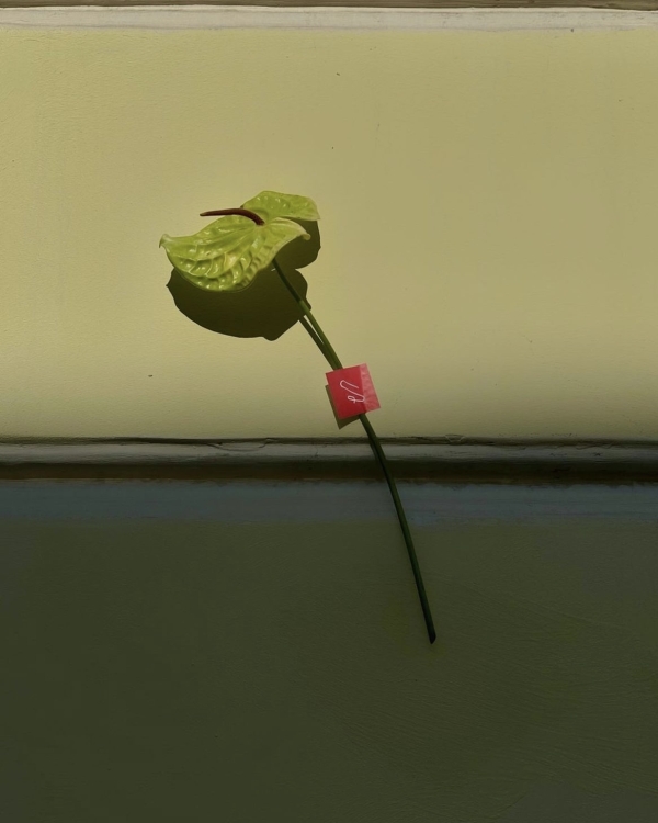 Как составить свадебный вишлист?