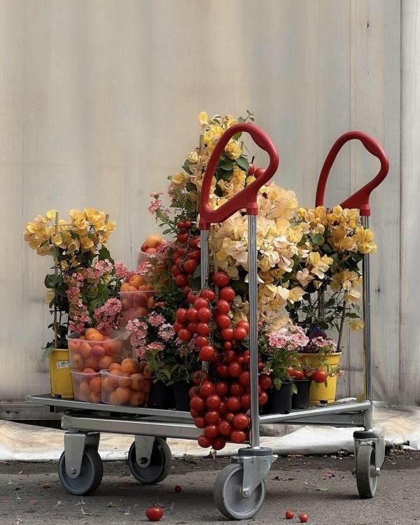 Осень не за горами: 10 идей сезонного