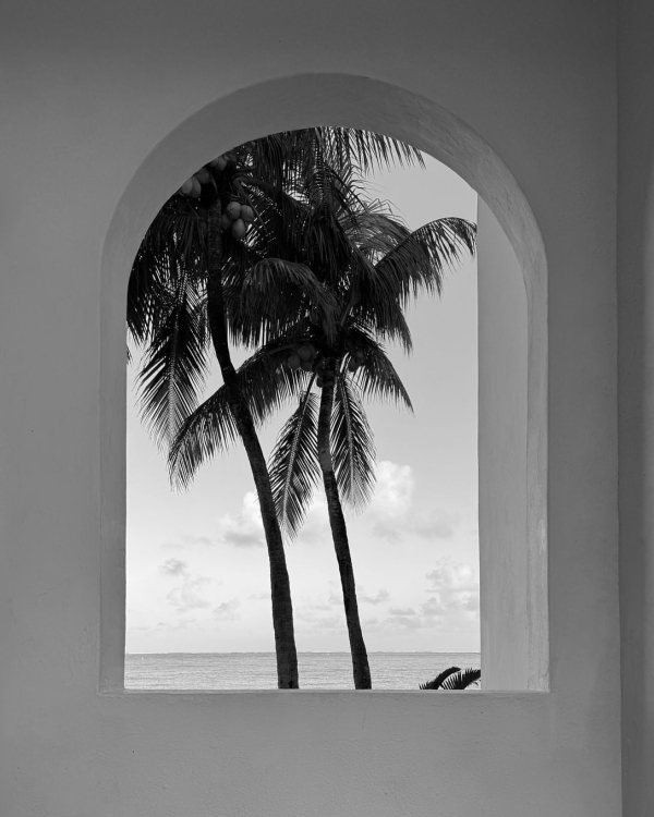 И в пир, и в мир. 20