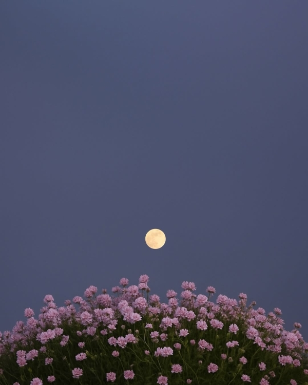 Как понять, что мужчина влюблен, с помощью