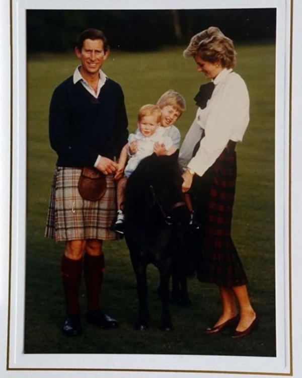 Все, что вы хотели, но могли не