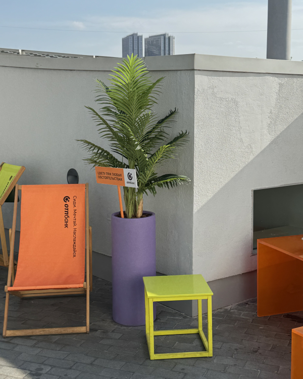 Уже середина лета. Что нужно успеть до