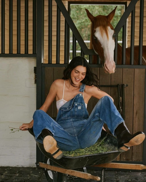 Кендалл Дженнер — героиня съемки, которая подскажет,