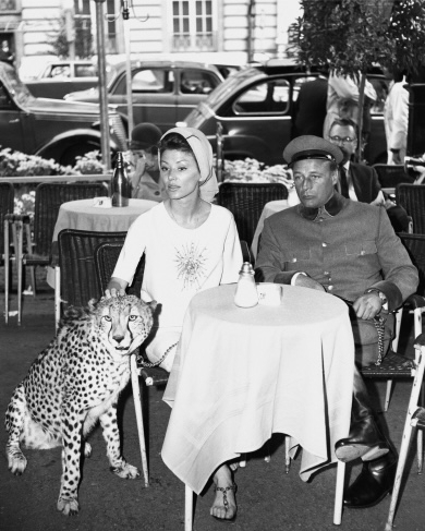 «Король папарацци» в МАММ, «Черешневое меню» в