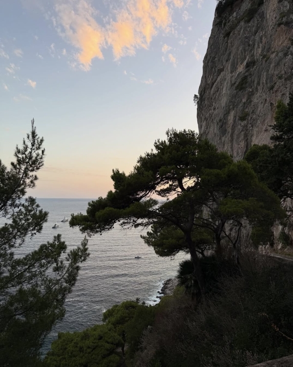 Реально полезные приложения, которые пригодятся в свадебном