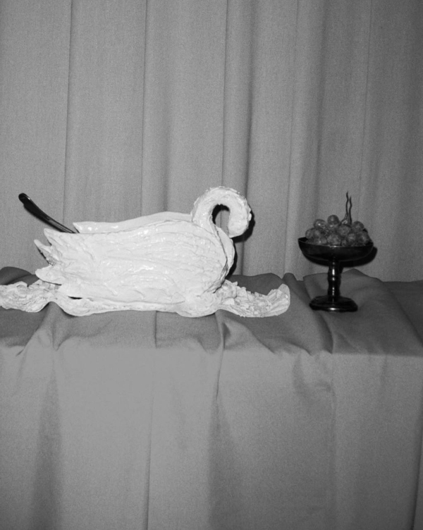 Приплыли. Лебеди в свадебном декоре — трендовая отсылка