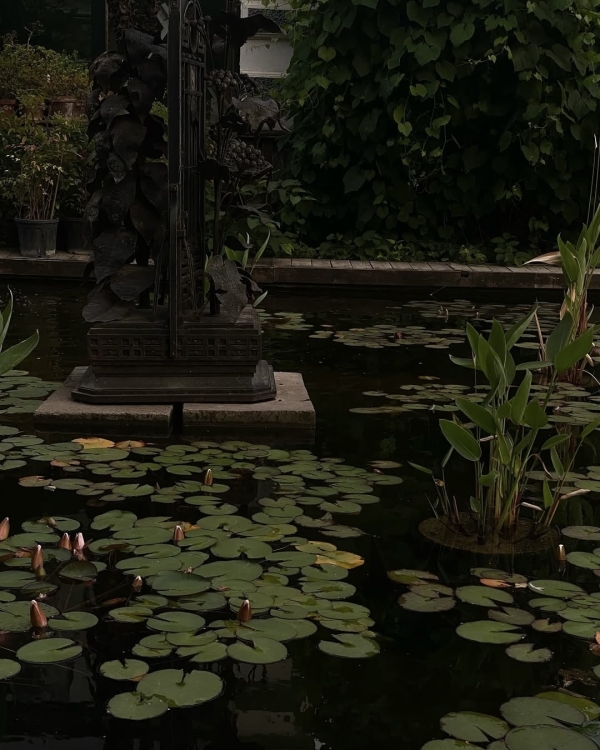 Уже середина лета. Что нужно успеть до