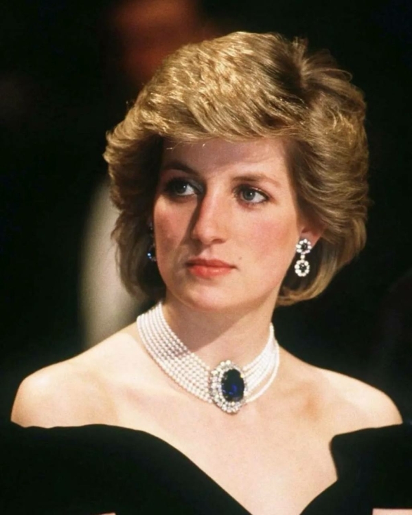 Все, что вы хотели, но могли не