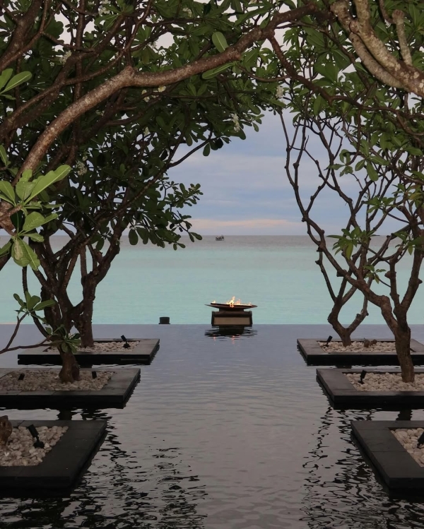 Реально полезные приложения, которые пригодятся в свадебном