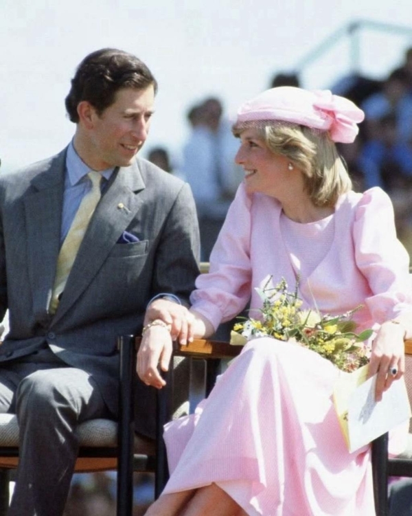 Все, что вы хотели, но могли не