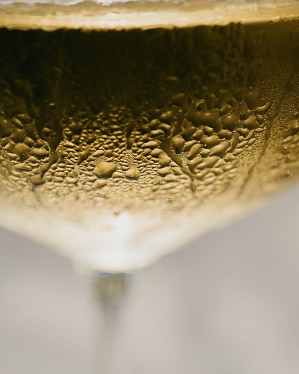 «Русские дикие» в Музее импрессионизма, спагетти с