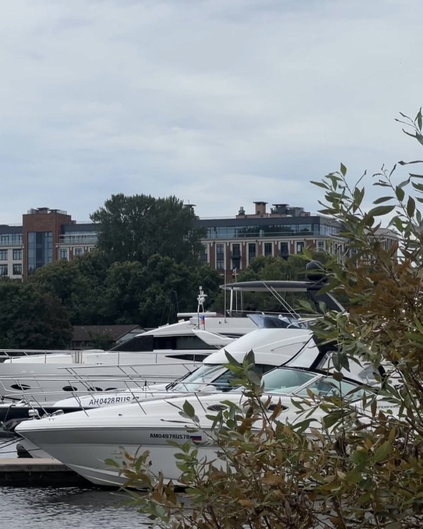 Где познакомиться с интеллигентным мужчиной в Санкт-Петербурге?