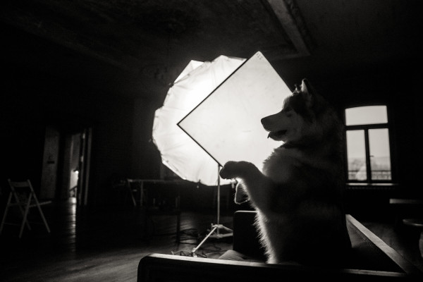 Backstage TOP15MOSCOW: «И все-таки, они — лучшие.