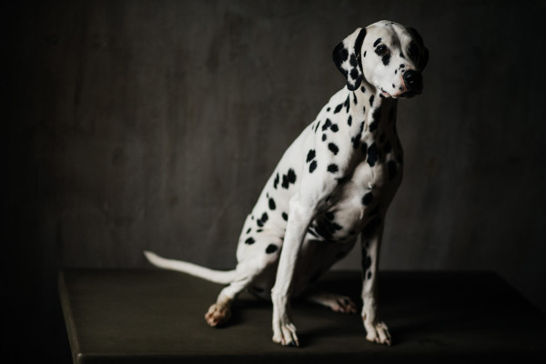 Backstage TOP15MOSCOW: «И все-таки, они — лучшие.